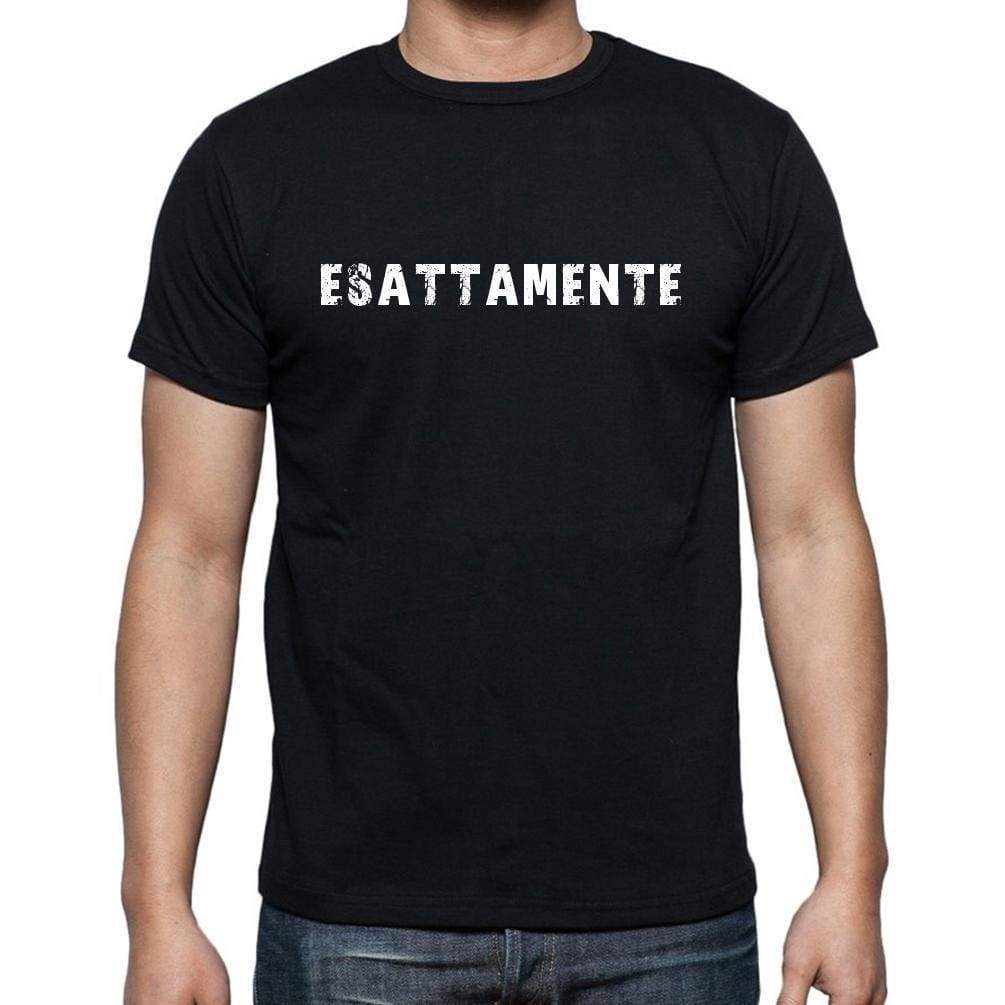 Esattamente Mens Short Sleeve Round Neck T-Shirt 00017 - Casual